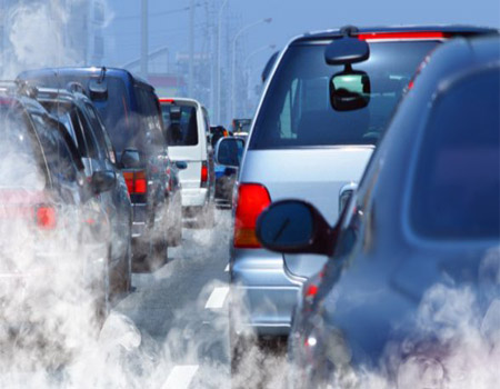 Seguro compensa emissões de CO2 do automóvel por um ano