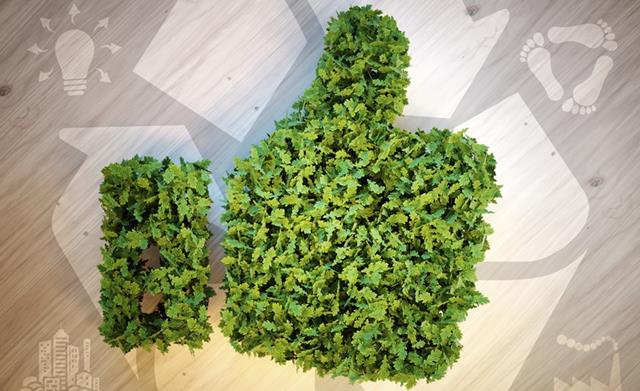 Marsh & McLennan Companies realiza mês da sustentabilidade