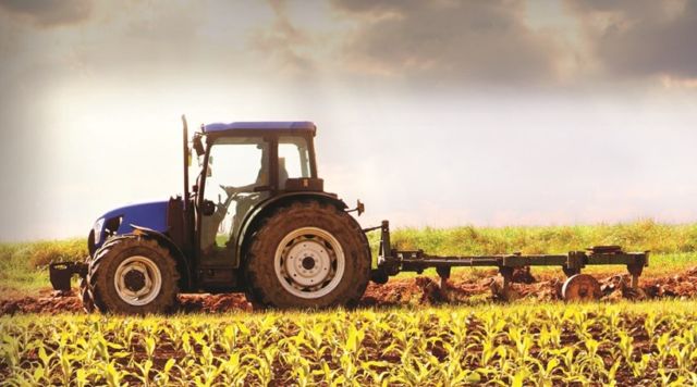 Seguro agrícola ameniza perdas da 2ª safra de milho e indeniza produtores rurais do Mato Grosso do Sul (MS)