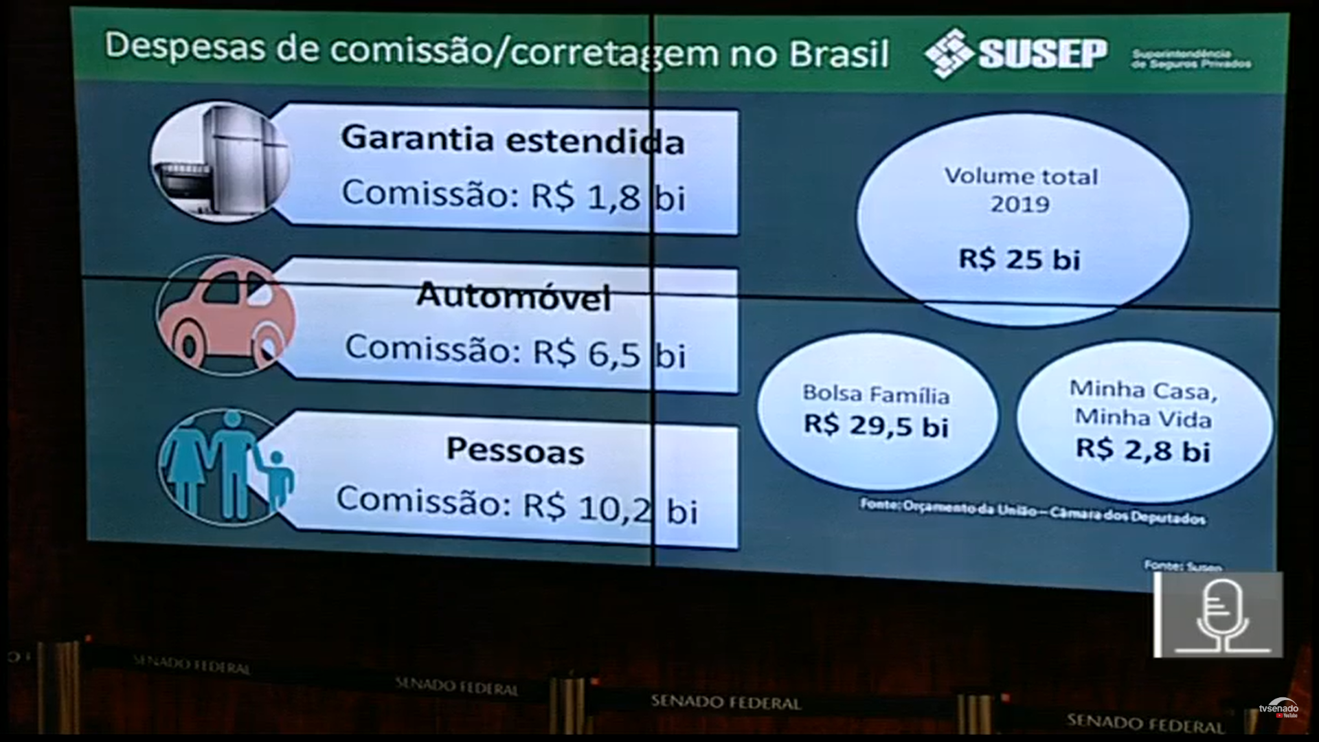 Reprodução/TV Senado