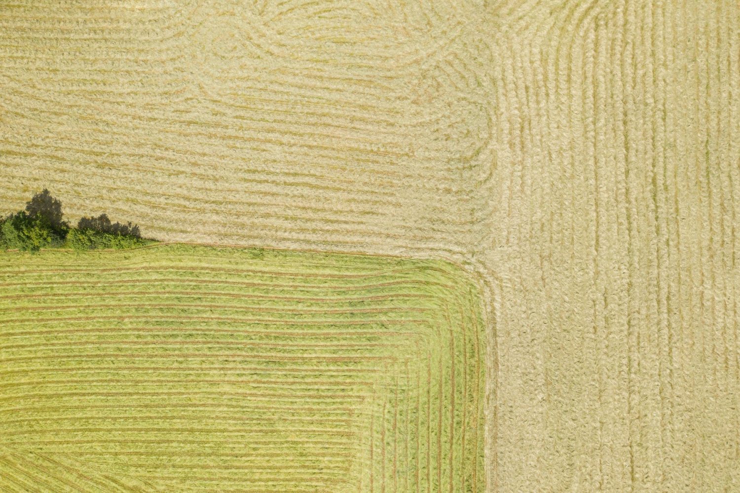 Bom desempenho do setor agrícola deve impulsionar venda de seguros para o segmento