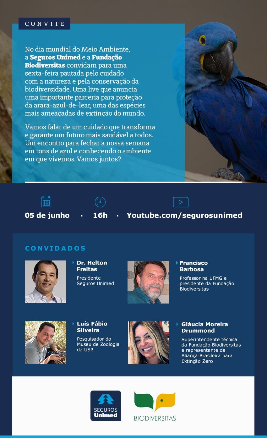 Divulgação