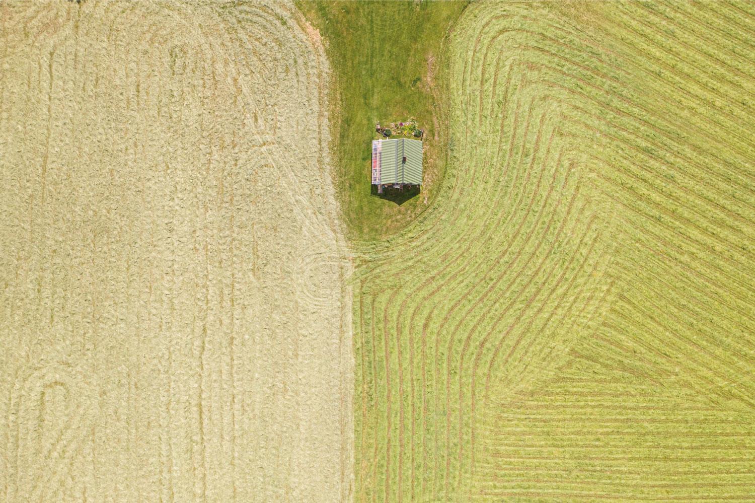 Comissão do Sincor-SP destaca oportunidades do agronegócio