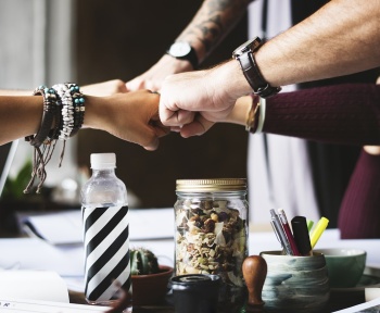 action, collaborate, collaboration, colleagues, cooperation, corporate, fist bump, partner, people, person, small business, support, team, teamwork, together, togetherness, coworkers, hands, collaborate, collaboration, collaboration, collaboration, collaboration, collaboration, corporate, corporate, corporate, support