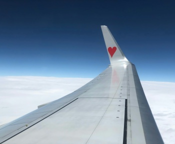airplane's left wing at high altitude during daytime