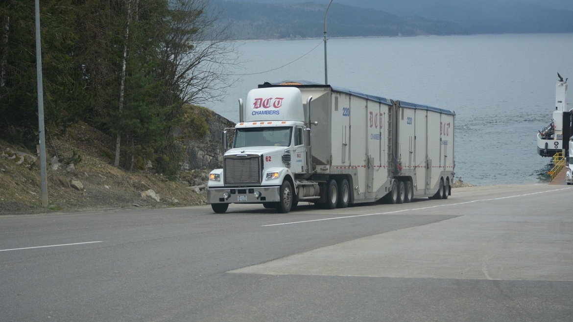 truck, lorry, white truck, cargo truck, nature, big rig, transportation, vehicle, highway, lake, driving, truck drivers, truckers, lorry driver, gray truck