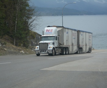truck, lorry, white truck, cargo truck, nature, big rig, transportation, vehicle, highway, lake, driving, truck drivers, truckers, lorry driver, gray truck