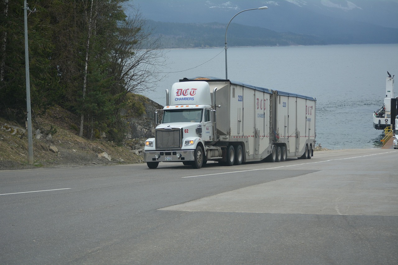 truck, lorry, white truck, cargo truck, nature, big rig, transportation, vehicle, highway, lake, driving, truck drivers, truckers, lorry driver, gray truck