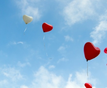 red and white heart balloons