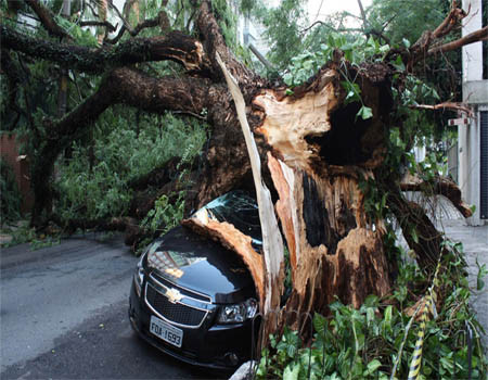 Entenda quando o seguro auto cobre danos da natureza