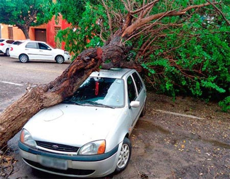 Seguro auto cobre sinistros causados por desastres naturais